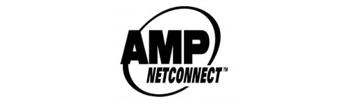 AMP