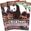 Paper A4 Black White