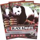 Paper A4 Black White