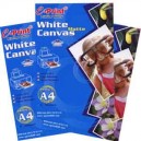 Canvass Paper