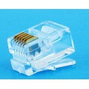 AMP Modular Plug standar body